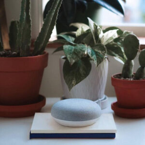 Loa Google Home Mini 1