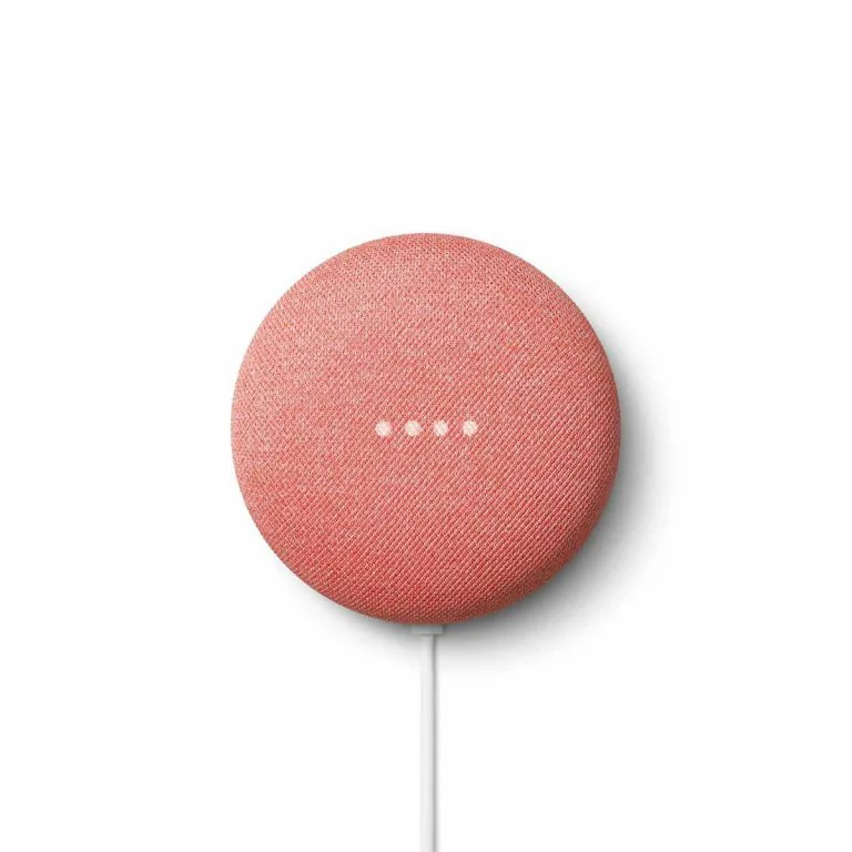 Loa Google Home Mini 1