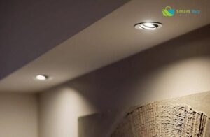 Giới thiệu đèn led chiếu điểm Philips 2 trục Pomeron